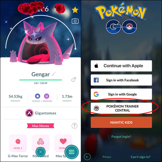 Shiny Gigantamax accounts