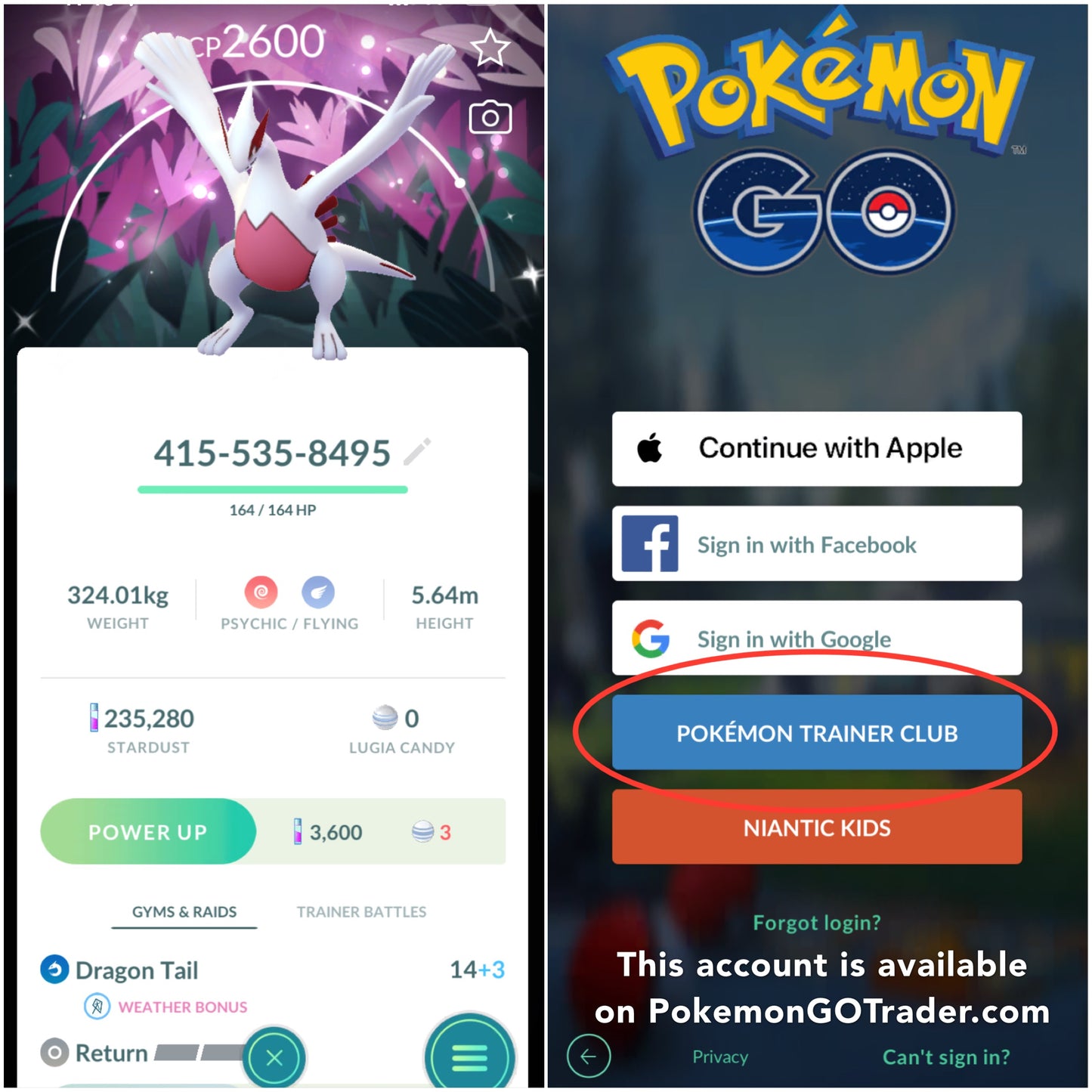 Shiny Lugia Wild Area BG account