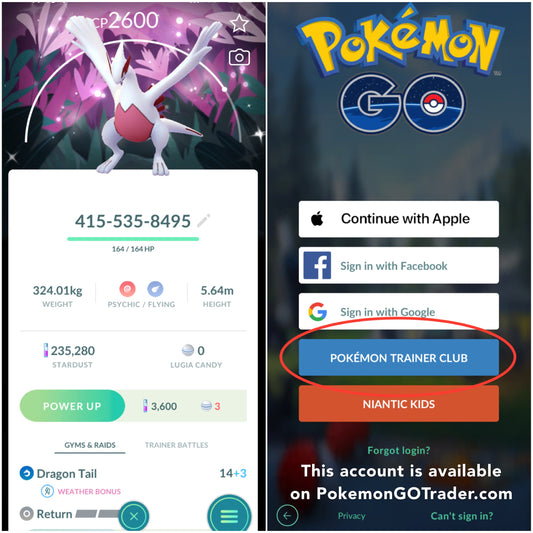 Shiny Lugia Wild Area BG account