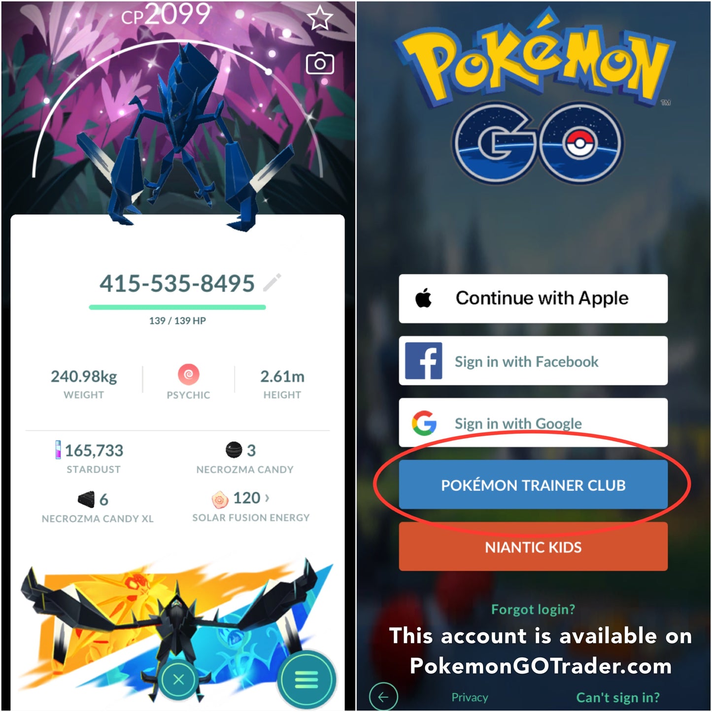 Shiny Necrozma Wild Area BG account