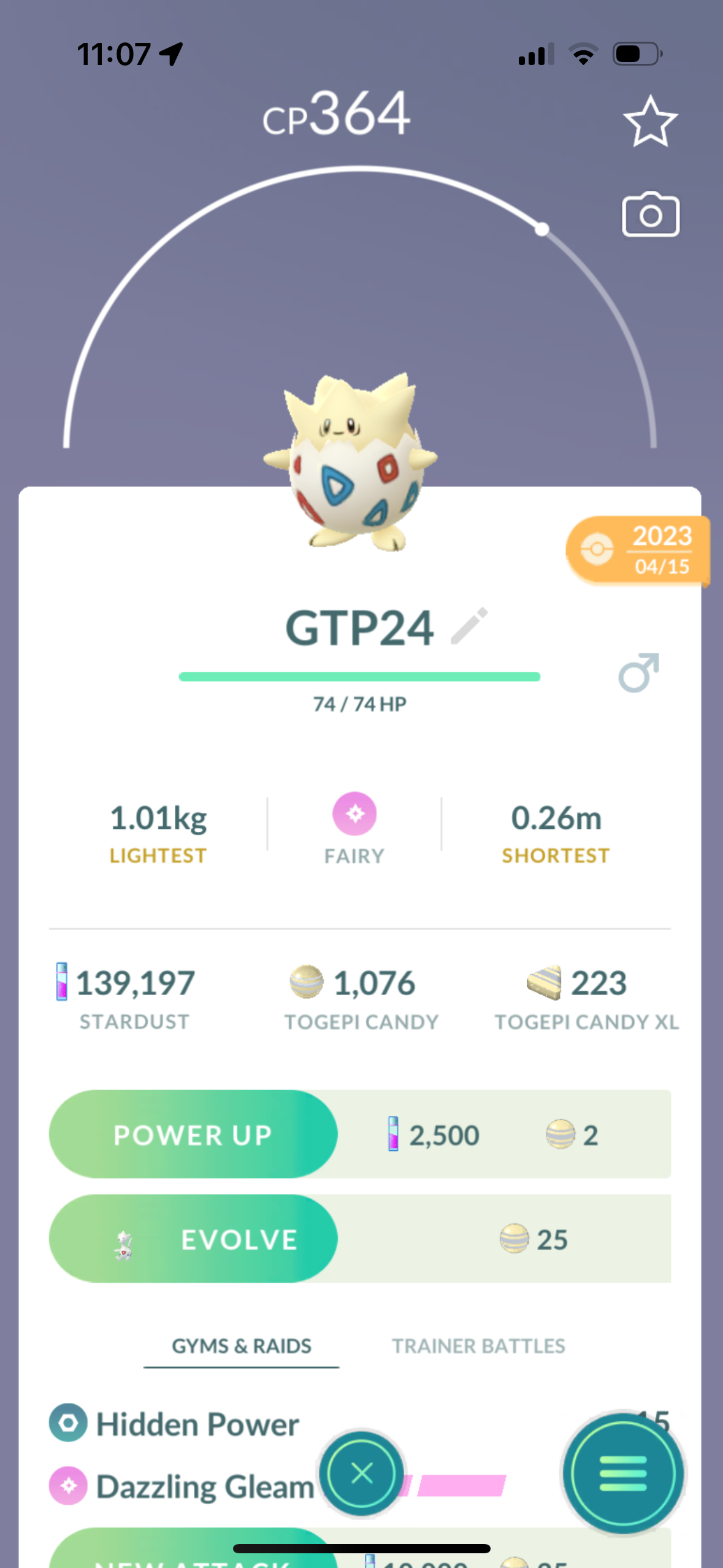 Togepi Trade Flower Crown