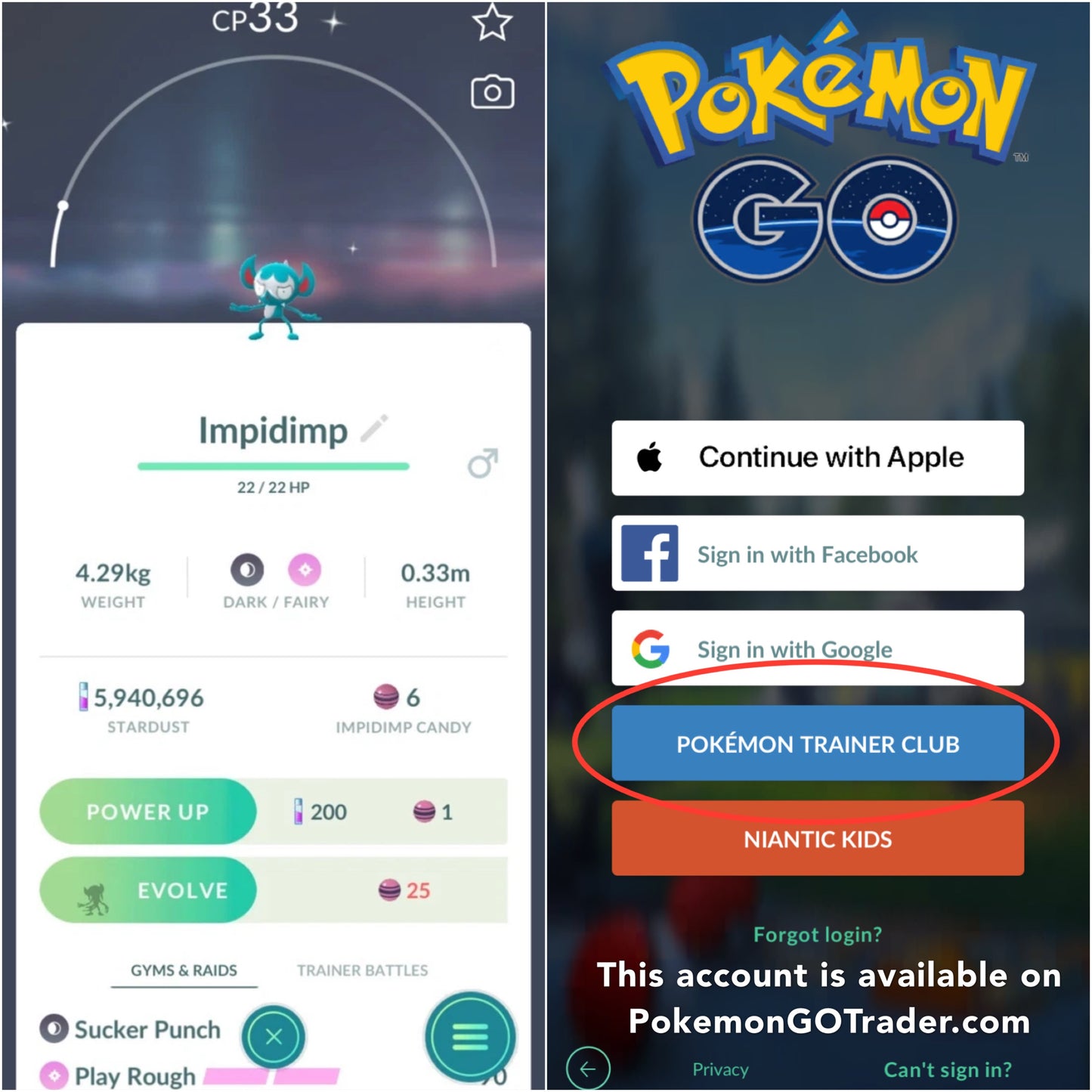 Shiny Impdimp account