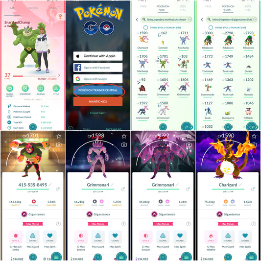 SnarlAndChamp account (11 Shiny/Legendary/Gigantamax)