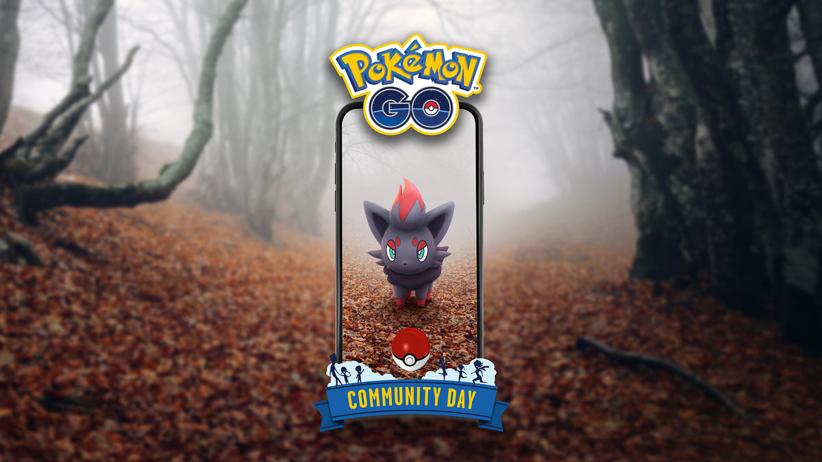 Community day service