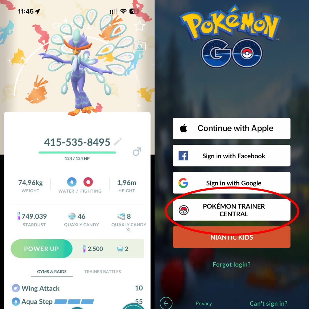 Shiny Quaquaval background account