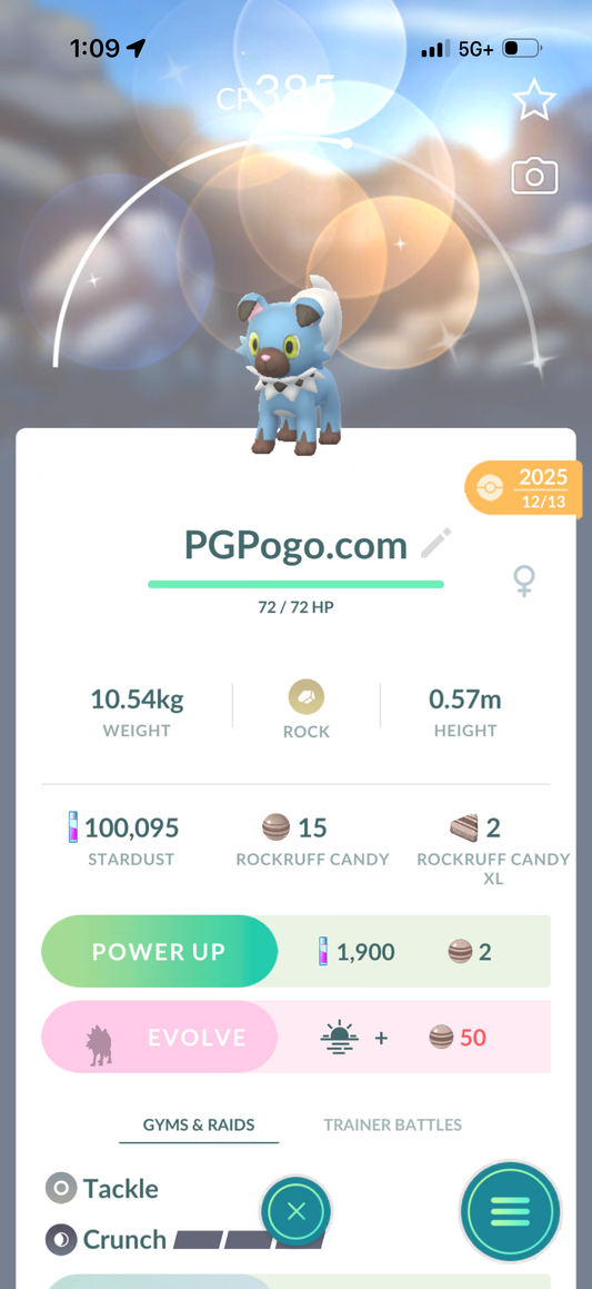 Shiny Rockruff account