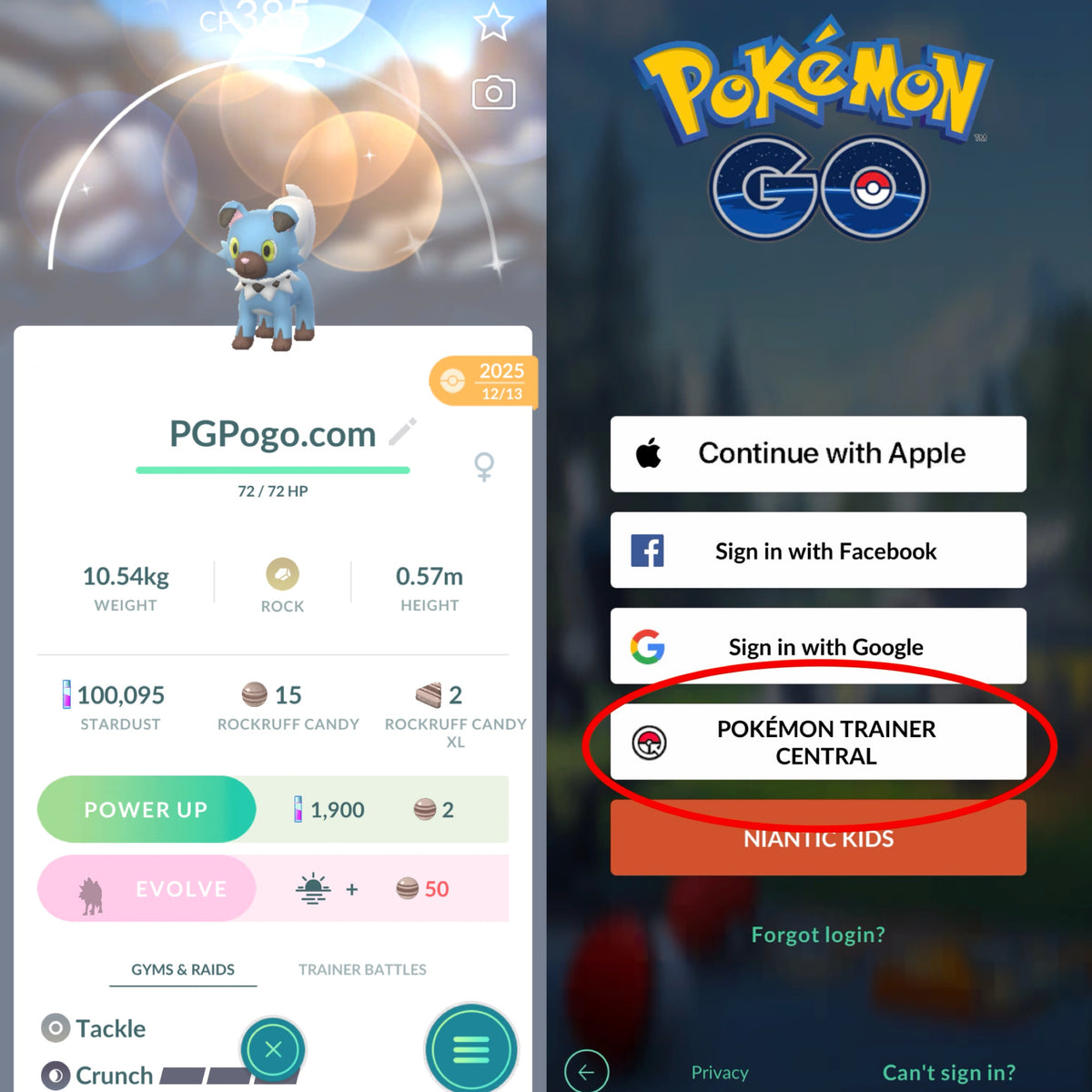 Shiny Rockruff account
