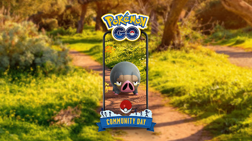 Community Day service