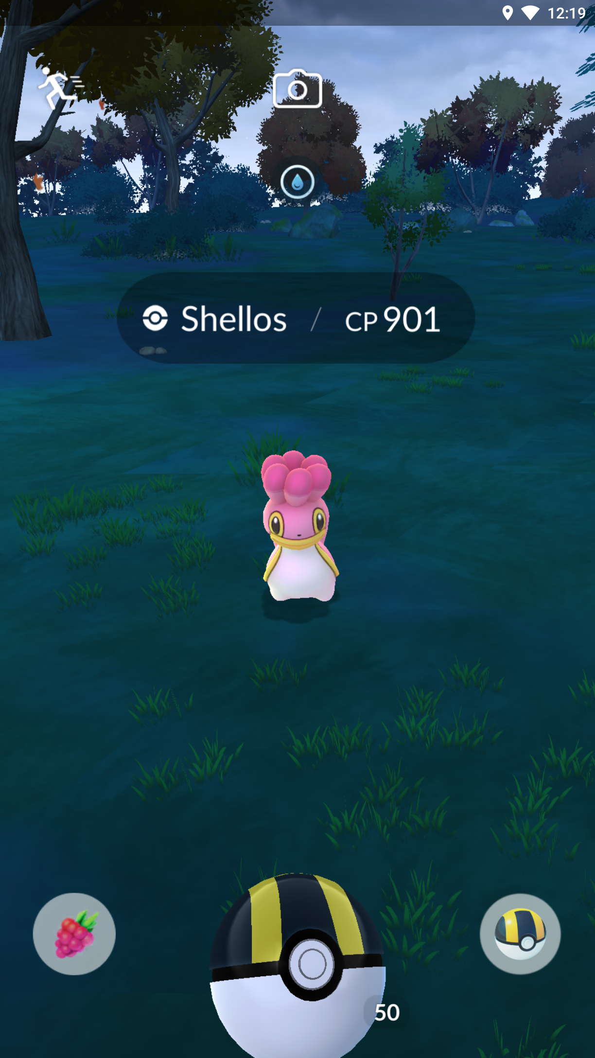 Regional Pokemon trades
